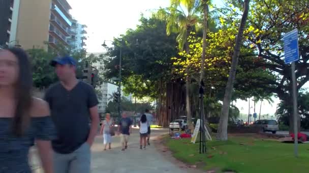 Vita di giorno su strade di Waikiki — Video Stock