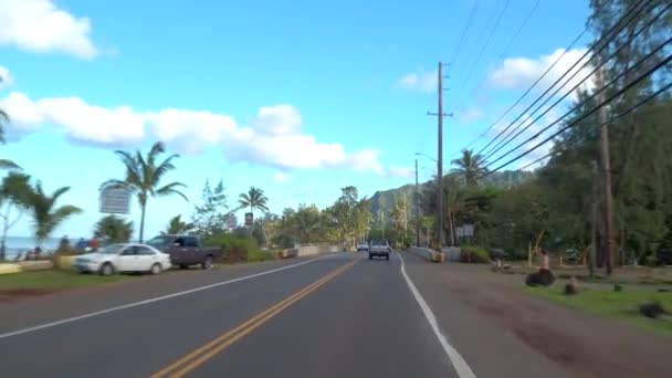 Casas de praia de férias em Hauula Oahu Hawaii — Vídeo de Stock