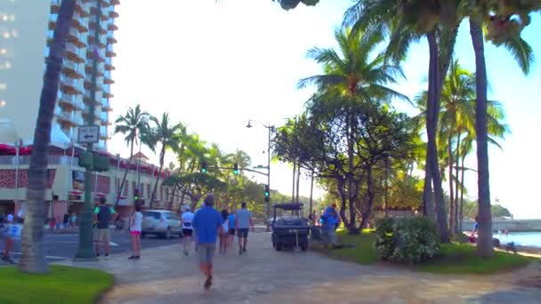 Günlük yaşam Waikiki sokaklarında — Stok video