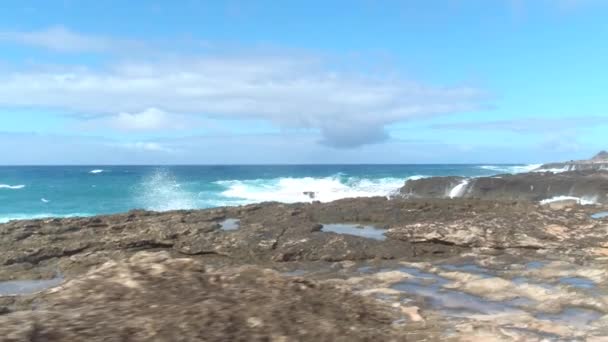 Waves crashing on rocks — Stock Video