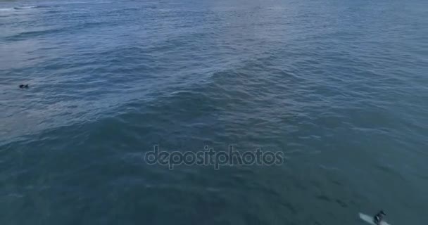 Achteruit luchtfoto surfers in Hawaï 4k — Stockvideo