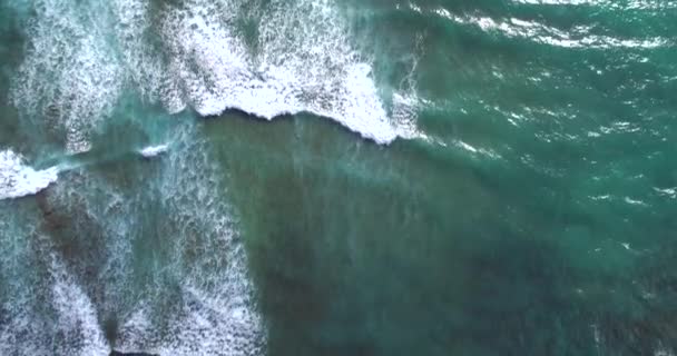 Rückwärts krachende Wellen vor der Küste Oahu Haitis — Stockvideo