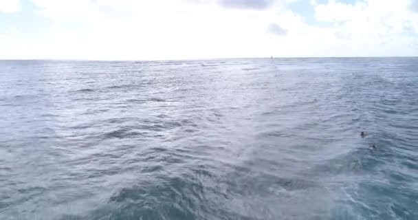 Зворотній політ серферів в океані — стокове відео