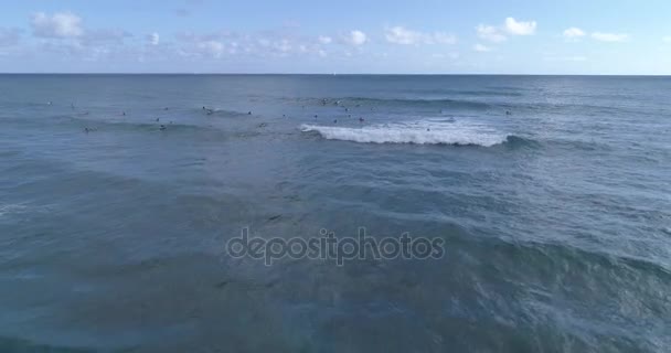 Omgekeerde clip luchtfoto surfers in de Oceaan — Stockvideo