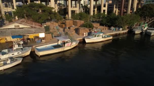 Łodzie rybackie na rzece Miami — Wideo stockowe