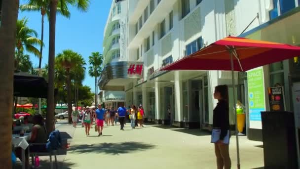 Walking on Lincoln Road — Stock Video