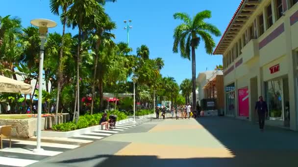 Travel destination Lincoln Road Miami Beach — Stock Video
