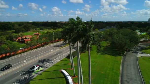 Aerial orbit around palm trees — Stock Video