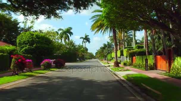 Miami Beach reality — Stock video