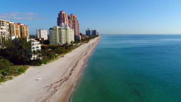Pelican Grand Beach Resort och handflatorna — Stockvideo