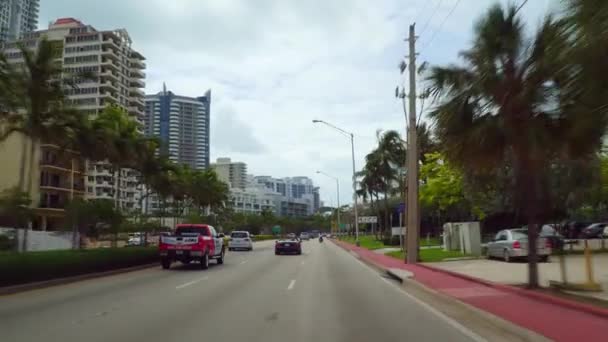 Touring Miami Beach port de baie de surf — Video