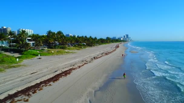 Drone vídeo casas de luxo — Vídeo de Stock