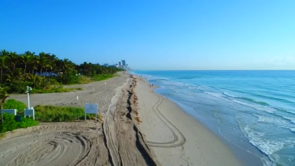 Görüntüleri Golden Beach Fl — Stok video