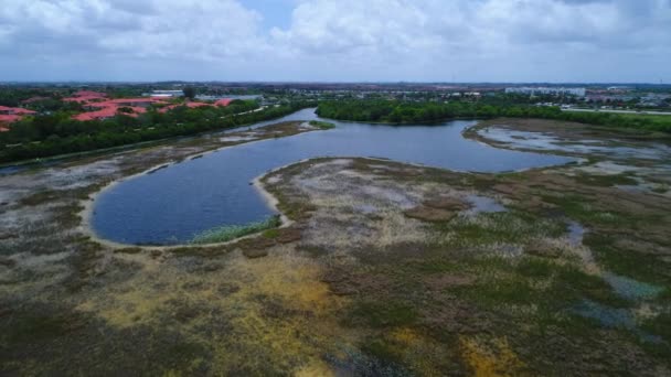 Video van een scène van de moeras lake — Stockvideo