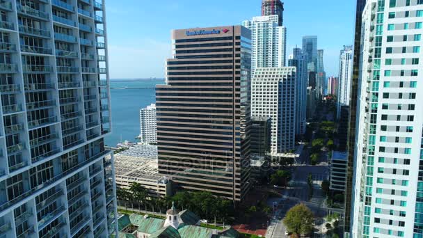 Статичні пташиного польоту Brickell Бенк оф Америка — стокове відео