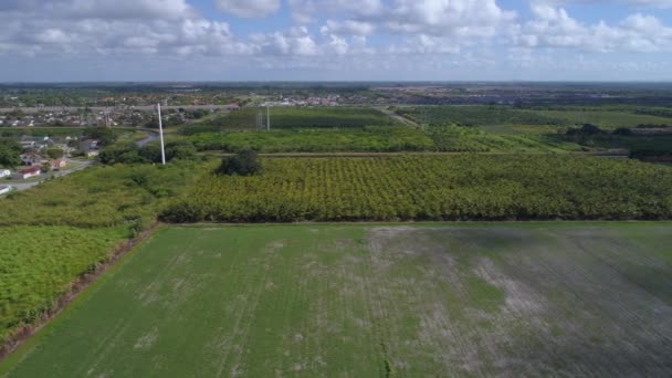 Homestead Florida terras agrícolas 4k 30p — Vídeo de Stock