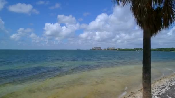 Vliegen tussen palmbomen te onthullen van een baai van water 4k 60p — Stockvideo