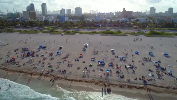 Aerial drone flyover Miami Beach downward tilt 4k 60p — Stock Video