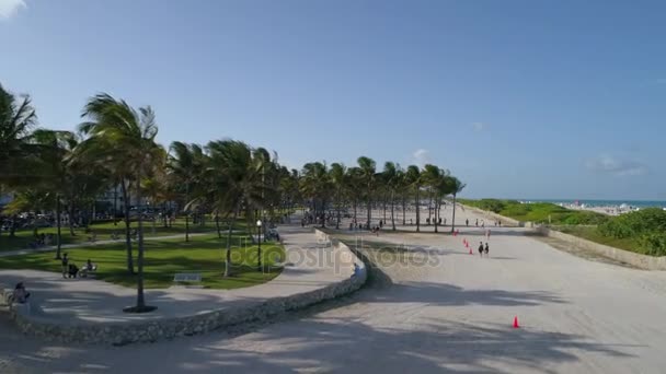 Letecké záběry Miami Beach Lummus Park 4k 60p — Stock video