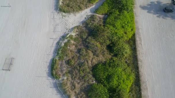 Miami Stranddünen 4k 60p — Stockvideo