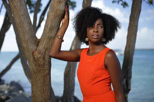Mladý černý ženský model v oranžové šaty v parku — Stock fotografie