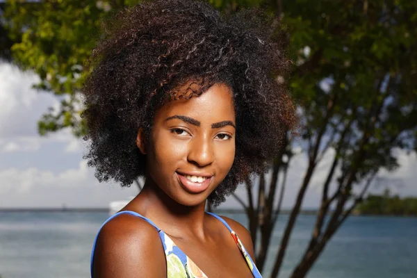 Fejlövés a mosolygó fekete női afro — Stock Fotó