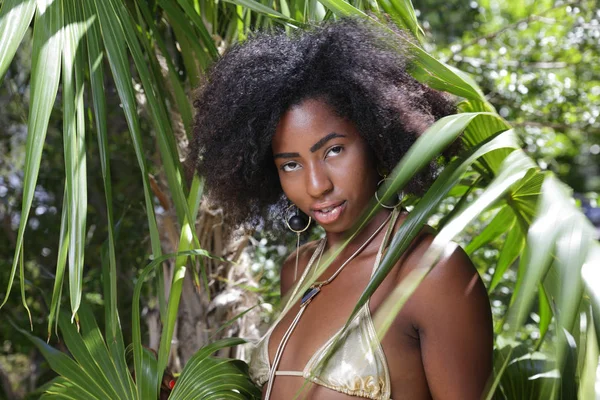 Amazona Mulher com um afro — Fotografia de Stock