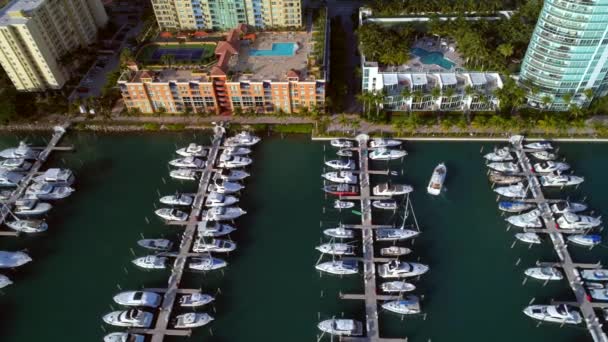 Vuelo aéreo Miami Beach Marina — Vídeos de Stock