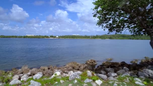 Vidéo aérienne basse volant entre les arbres — Video