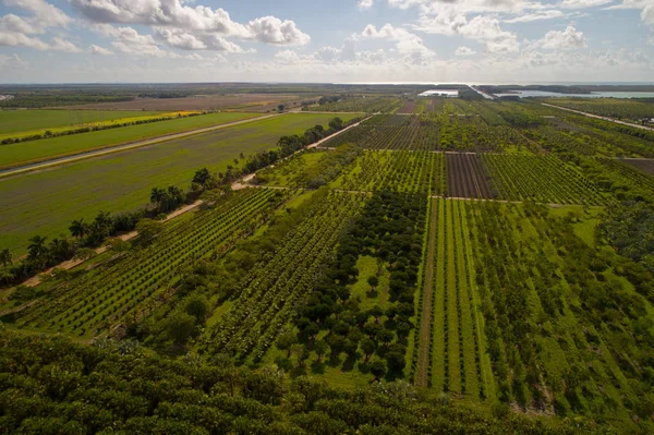 Homestead Florida terras agrícolas — Fotografia de Stock