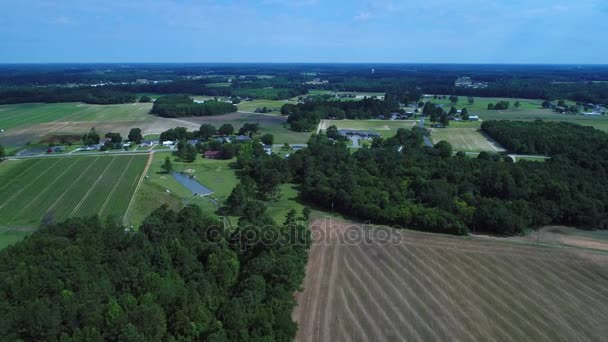 Luchtfoto north Carolina landelijke landbouwgrond landschap 4k — Stockvideo