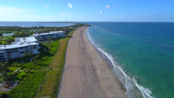 Tropikal Florida plajları — Stok video
