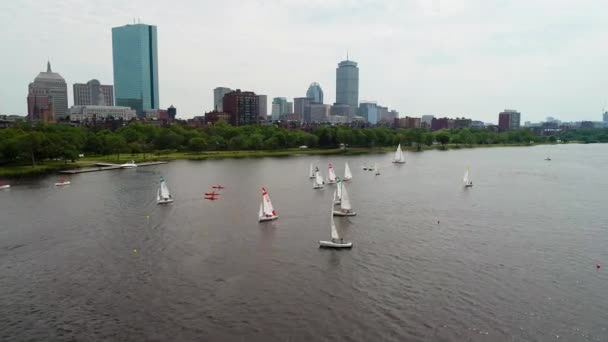 Wspólnoty, żeglarstwo w Charles River Boston Ma — Wideo stockowe