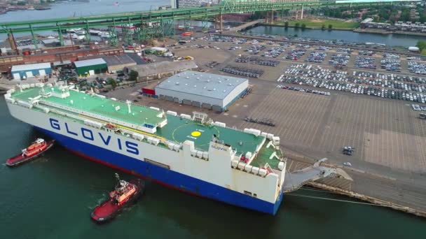 Glovis auto transporte e rebocador barcos em ação — Vídeo de Stock