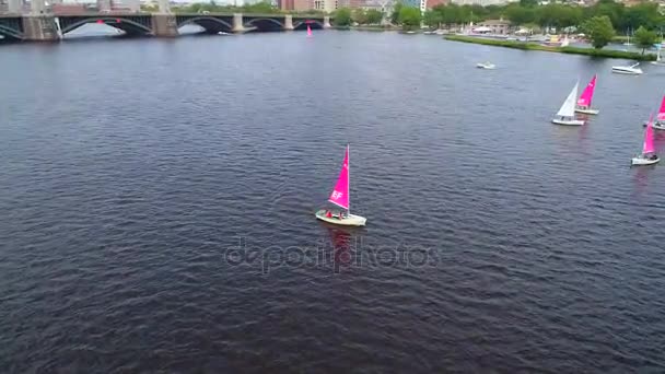 Spotlight pro rastreamento de um barco à vela na água — Vídeo de Stock