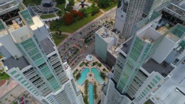 Vizcayne Miami Yüzme Havuzu 