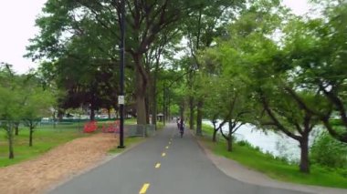 İki yol iz parkta Bisiklet