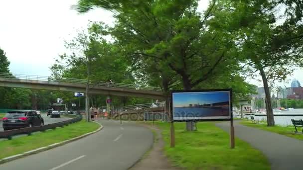 Charles River Esplanade Boston — Stok video