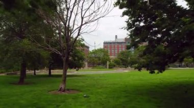 Hareketli video bir park 4k