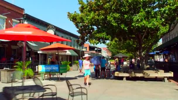 Savannah City Market — Stock Video