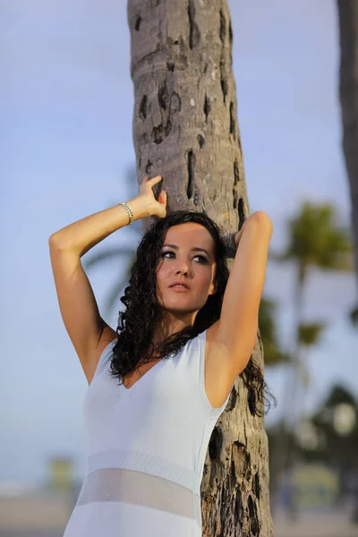 Mulher encostada a uma palmeira — Fotografia de Stock