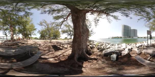 360VR Haulover Beach Park Miami — Vídeos de Stock