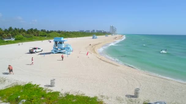 Haulover Beach Florida — Vídeos de Stock