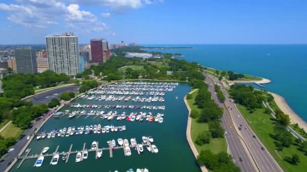 Diversey Harbor Chicago 4k 60p — Stok video