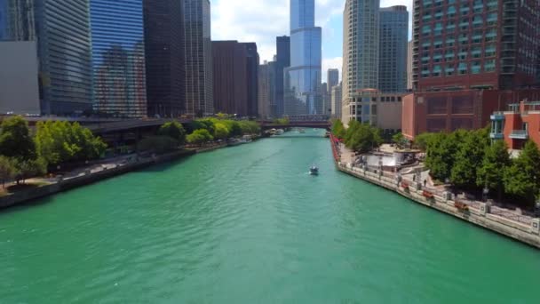 Chicago River Esplanade Park — Stockvideo