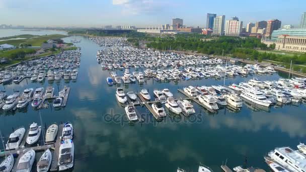 Puerto de Burnham Chicago — Vídeo de stock