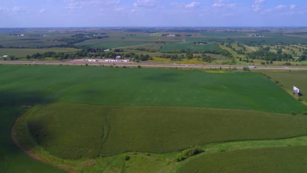 Iowa Usa γεωργία χωράφια τοπίο 4k — Αρχείο Βίντεο