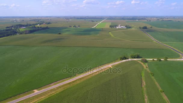 Landwirtschaftliche Nutzflächen 4k — Stockvideo