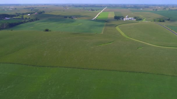 Grüne landwirtschaftliche Flächen — Stockvideo