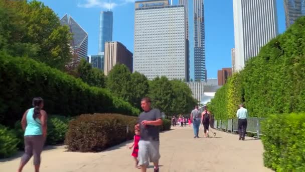 Tour Millennium Park Chicago — Stockvideo